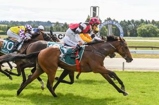 Lightning Jack (NZ) named South Islands Champion Three-Year-Old for 2019-20. 